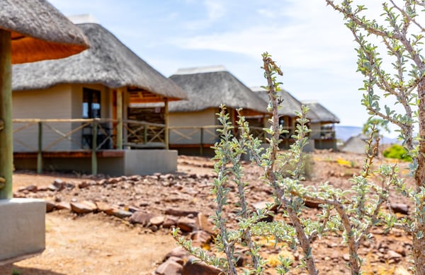PALMWAG LODGE