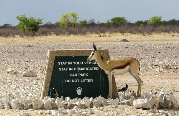 Etosha Safari Campsite at dusk