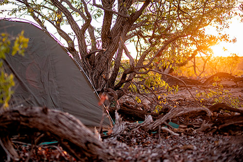 Wild Camping