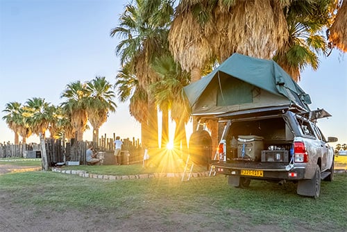 Kalahari Farmhouse Campsite, Car with roof tent, palm trees, Namibia