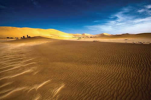 Guided excursion to Sossusvlei