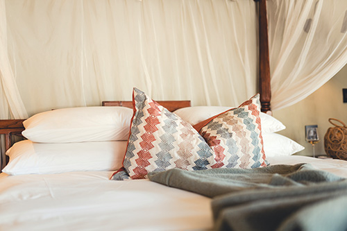 Classic Safari Twin Room
