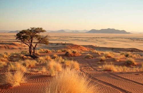 Namib Desert landscape, Namibia
