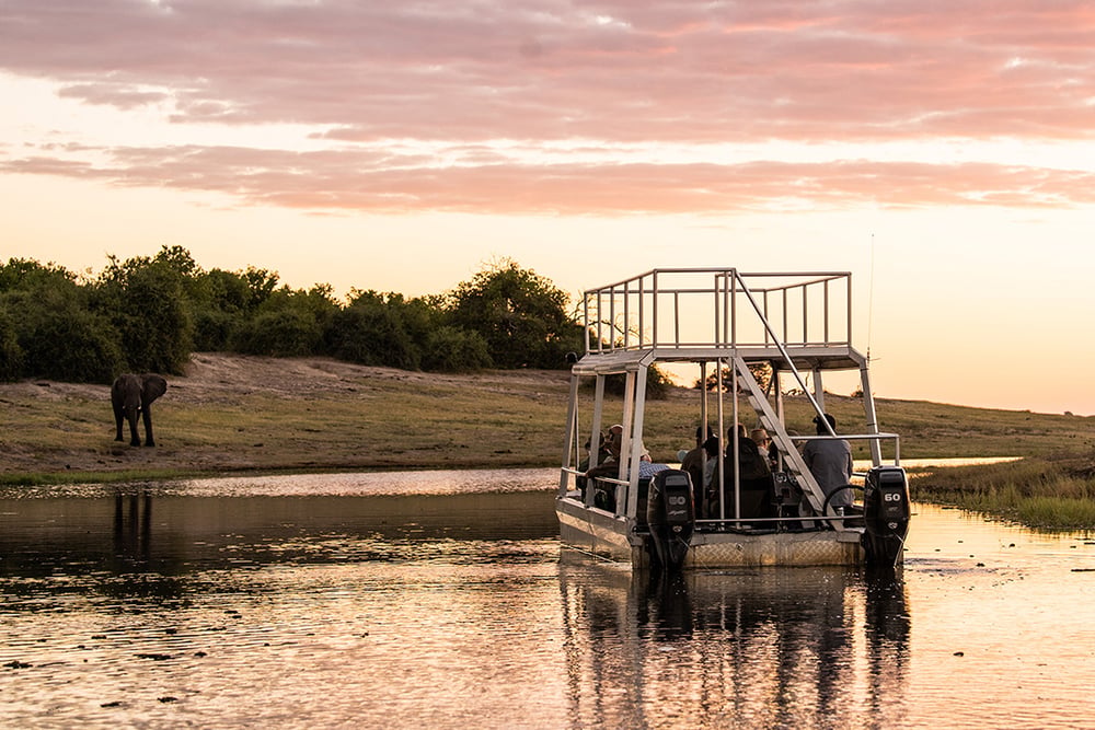 Boat cruise in Zambezi Region, Caprivi, at sunset, elephant sighting, Namibia