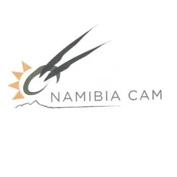 Namibia Cam license disc sticker