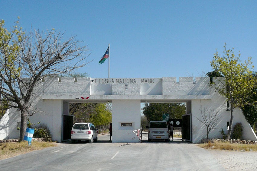 Andersson Gate Etosha National Park, Namibia