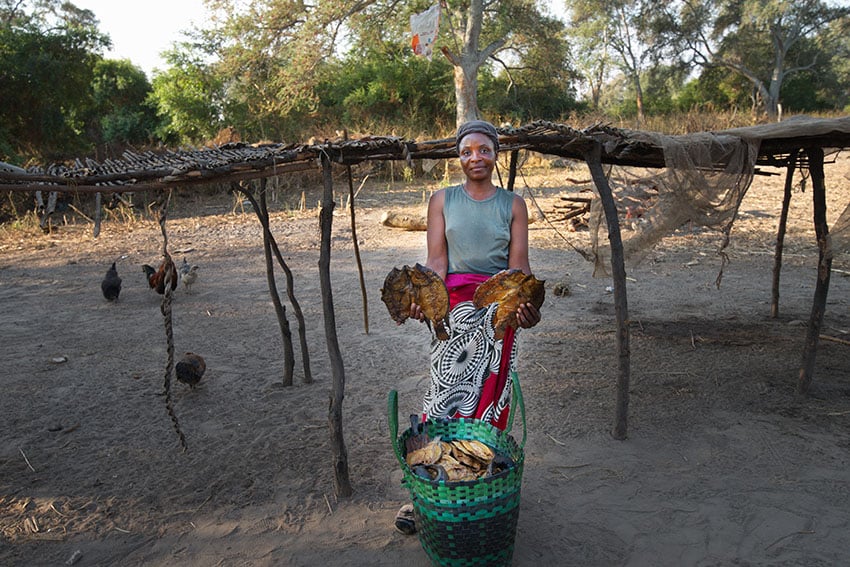 Namibische Frau miy getrocknetem Fisch