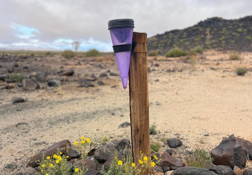 Rain gauge canyon lodge