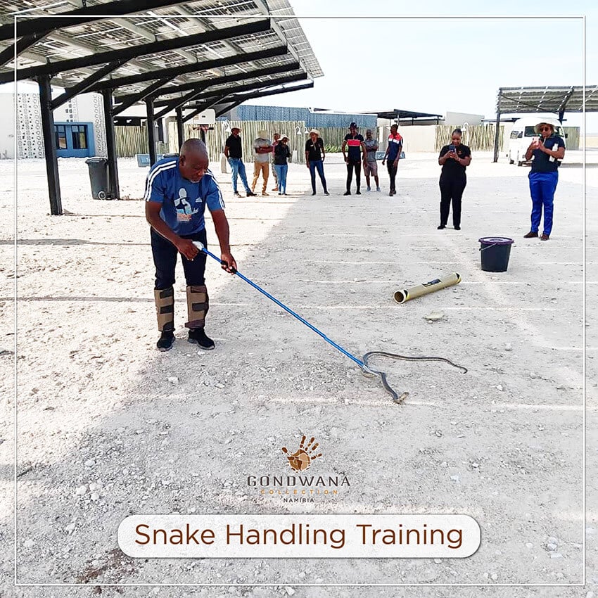 Snake Handling Trraining, Gondwana Collection Namibia