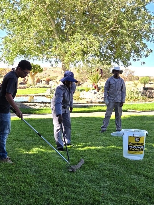 Snake training at Gondwana Collections Canyon Properties 1