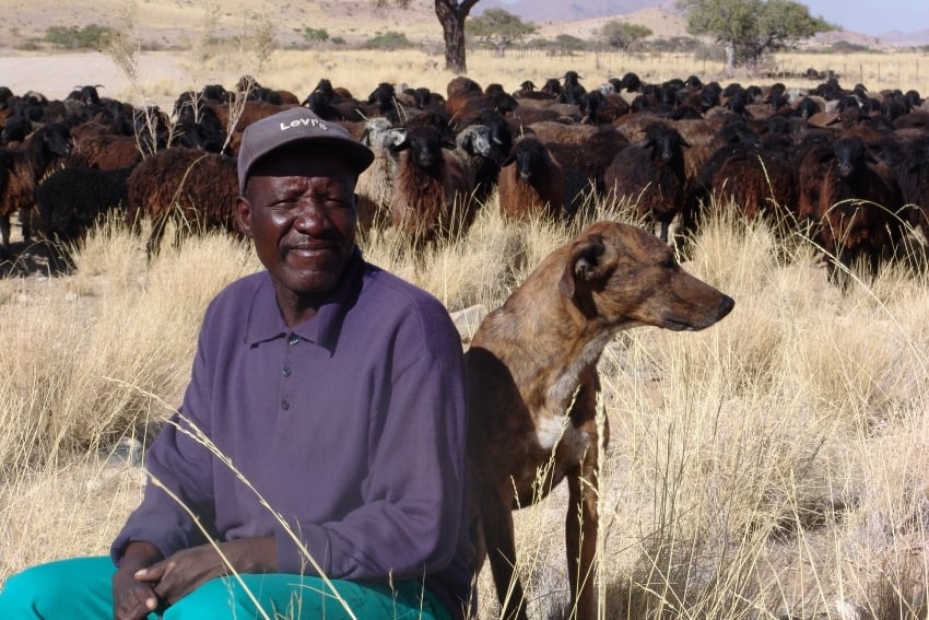 ILMD Africanis blog immage