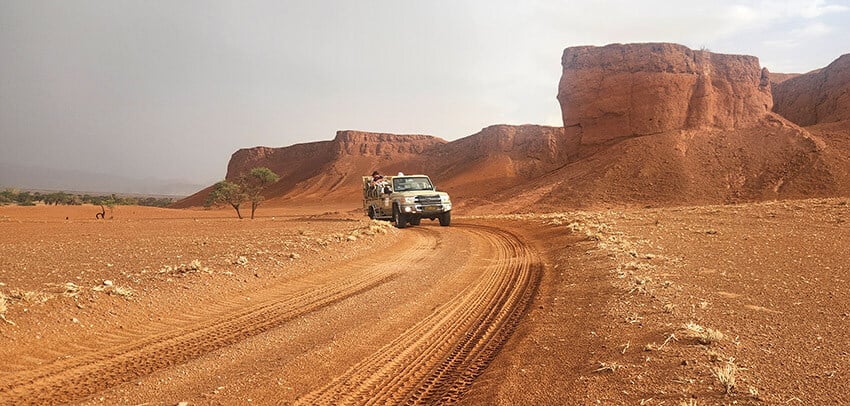 Gondwana Namib Park game viewer fossilised dunes web