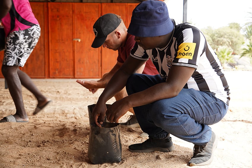 Namibians planting trees