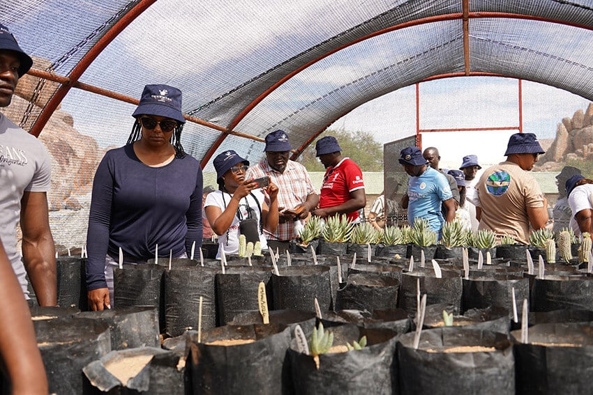 People visting Holoog quiver tree nursery, Namibia