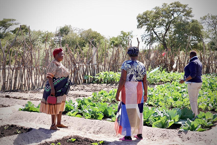 Namibian women, vegetable garden, Zambezi Region, Namibia