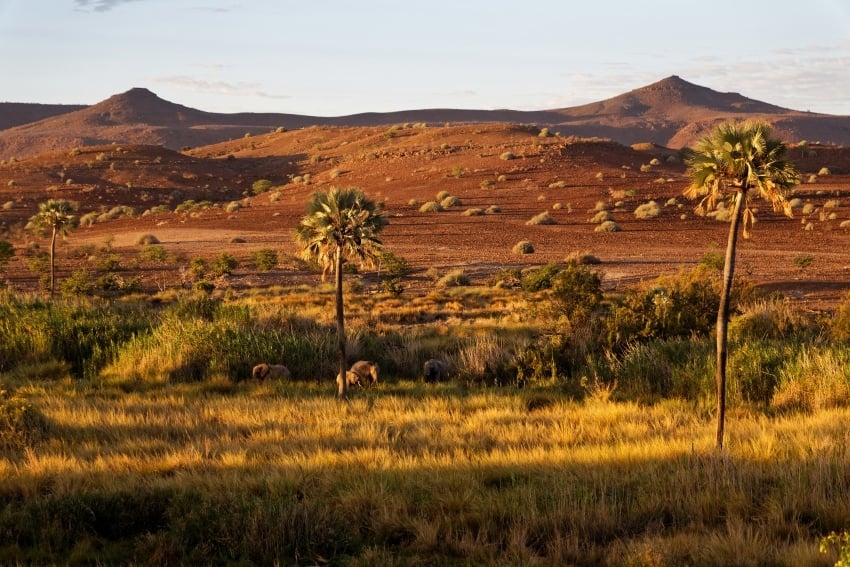 Torra Area, Gondwana Collection, Namibia