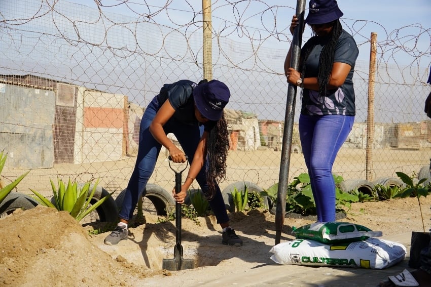 Tree planting Gondwana Care Trust. Image 2