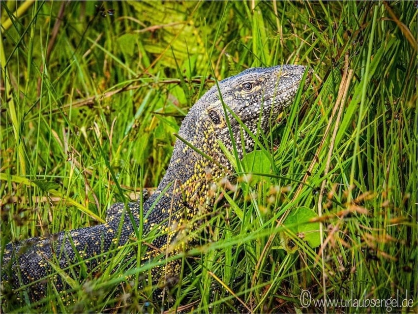 Hakusembe River Lodge, Stephan Fath, Urlaubsengel, Namibia 9