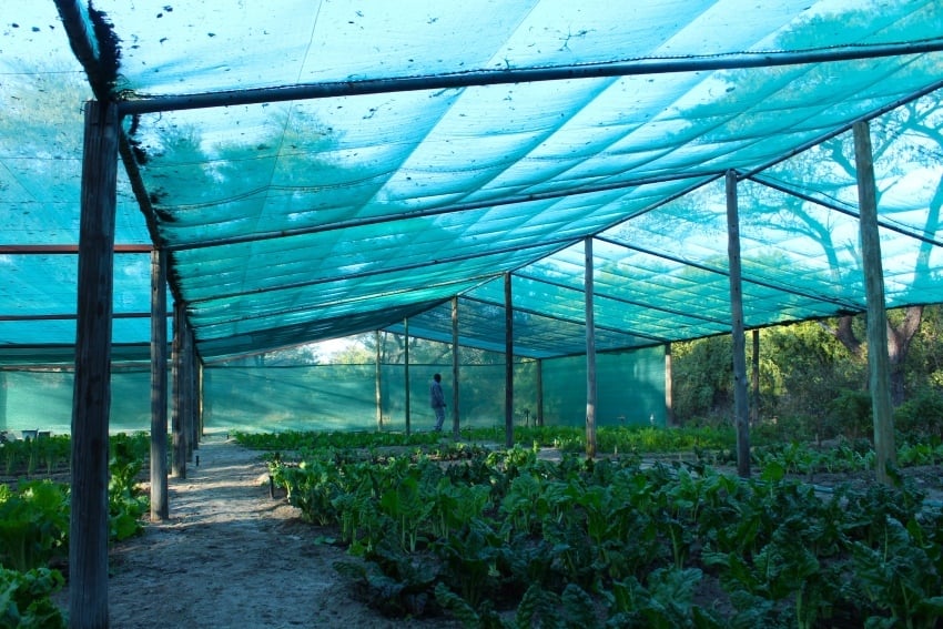 Hakusembe garden image