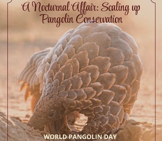 PCRF scaling up pangolin conservation gala