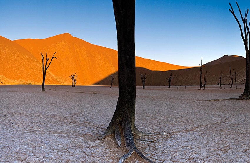 Deadvlei surrounded by high sand dunes, Namibia