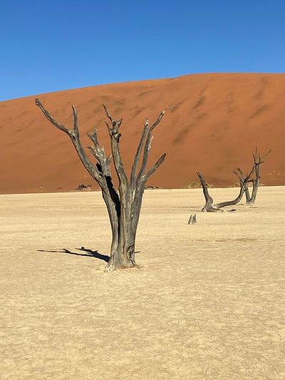 Deadvlei, dead trees, sand dunes, Namibia