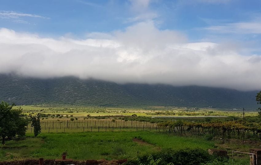 Otavi vineyards, Namibia