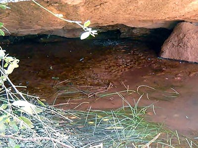 Twyfelfontein spring under rock cbb