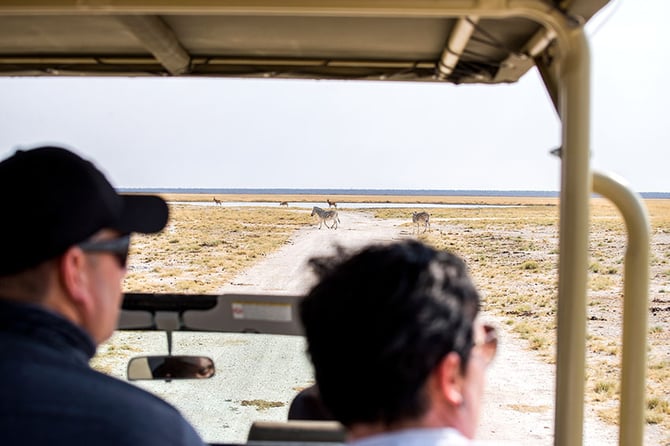 Couple in game drive vehicle with view on waterhole and zebras, Namibia