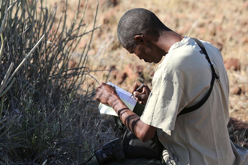 PALMWAG-RHINO-TRACKING1 web