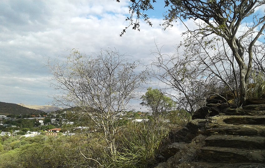 Botanischer Garten, Aussicht