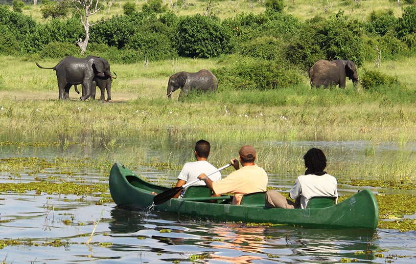 Kanufahren auf dem Chobe