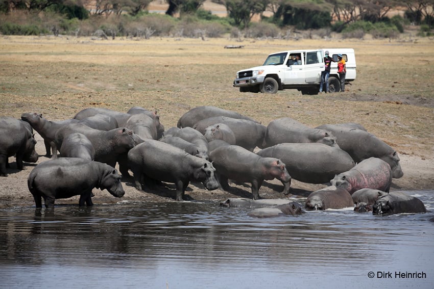 Chobe Namibia
