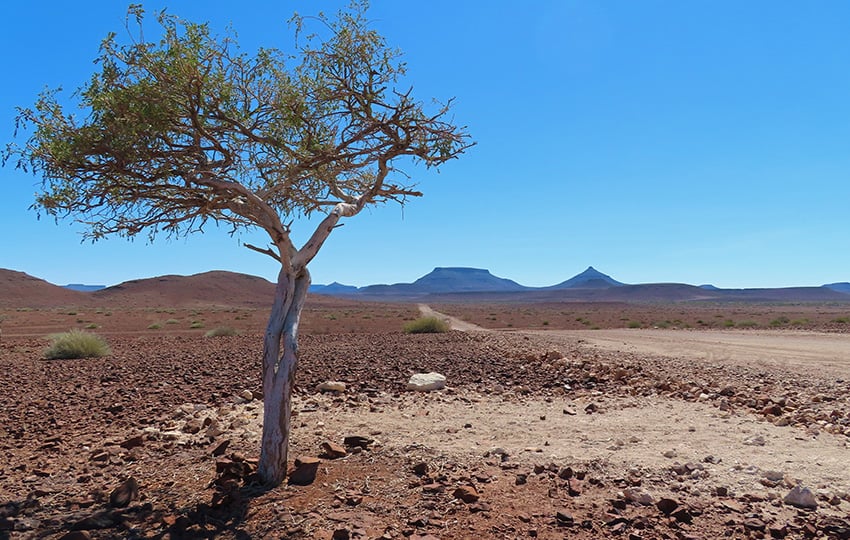 Damaraland, Namibia