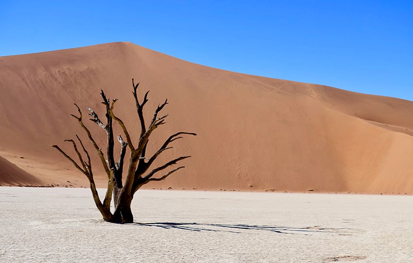 Deadvlei