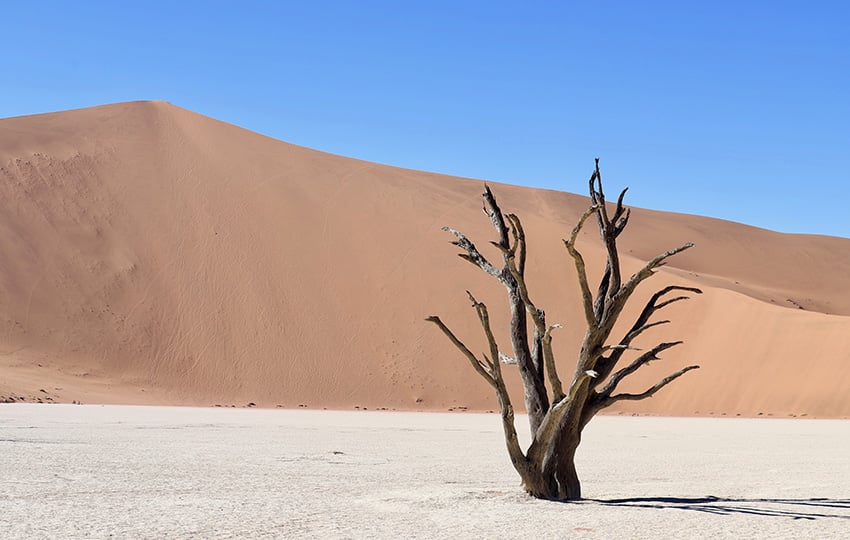 Namibia Deadvlei