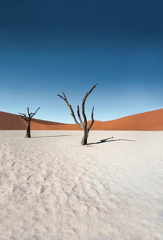 Deadvlei, Namibia