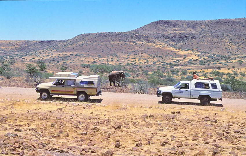 Elefant im Damaraland