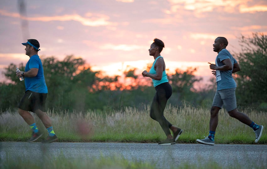 Trailrunning, Etosha
