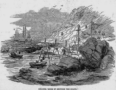 Guano Ichaboe Island1844