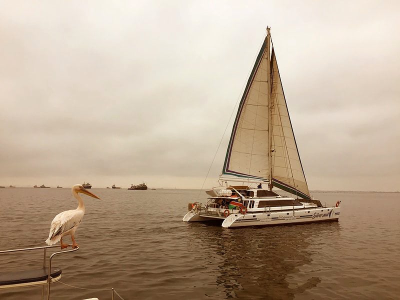Bootsausflüge, Walvis Bay