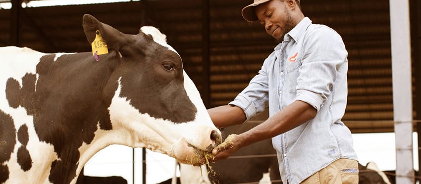 Superfarm Mariental, Namibia