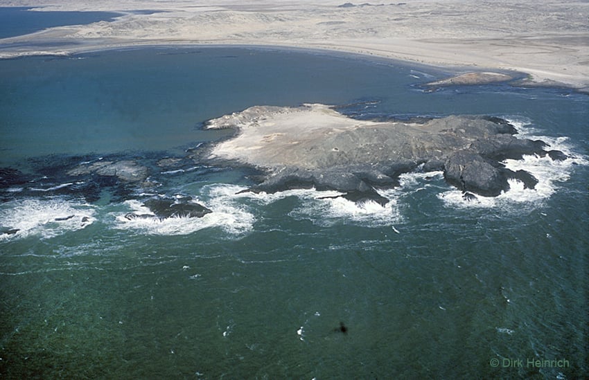 Halifax-Insel, Namibia