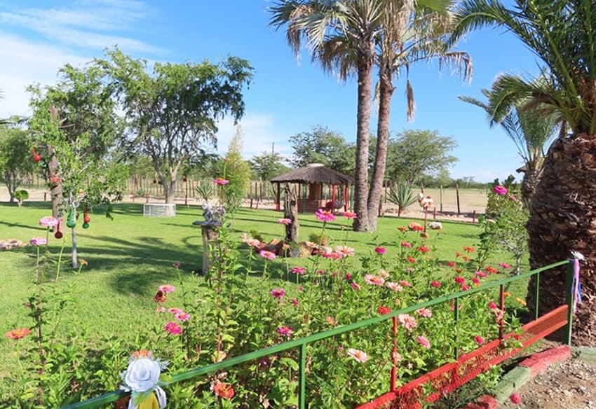 Garten des Kasikili Restcamps