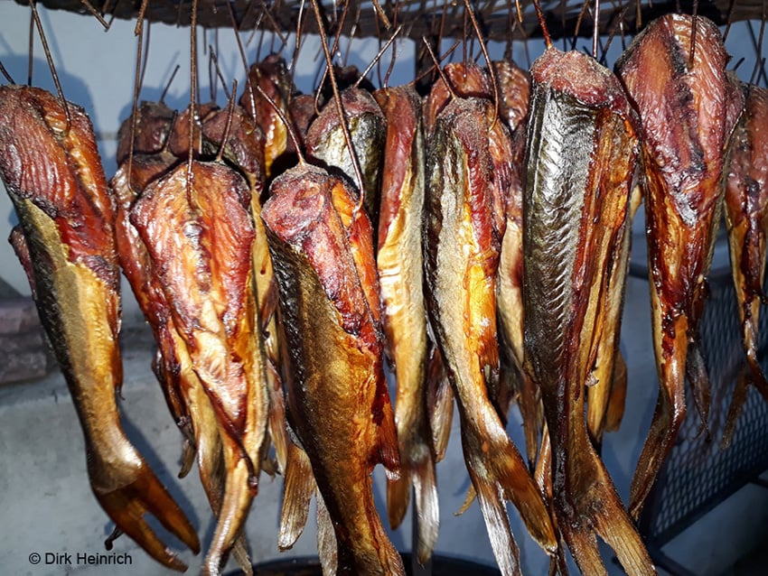 geräucherte "Katfische"