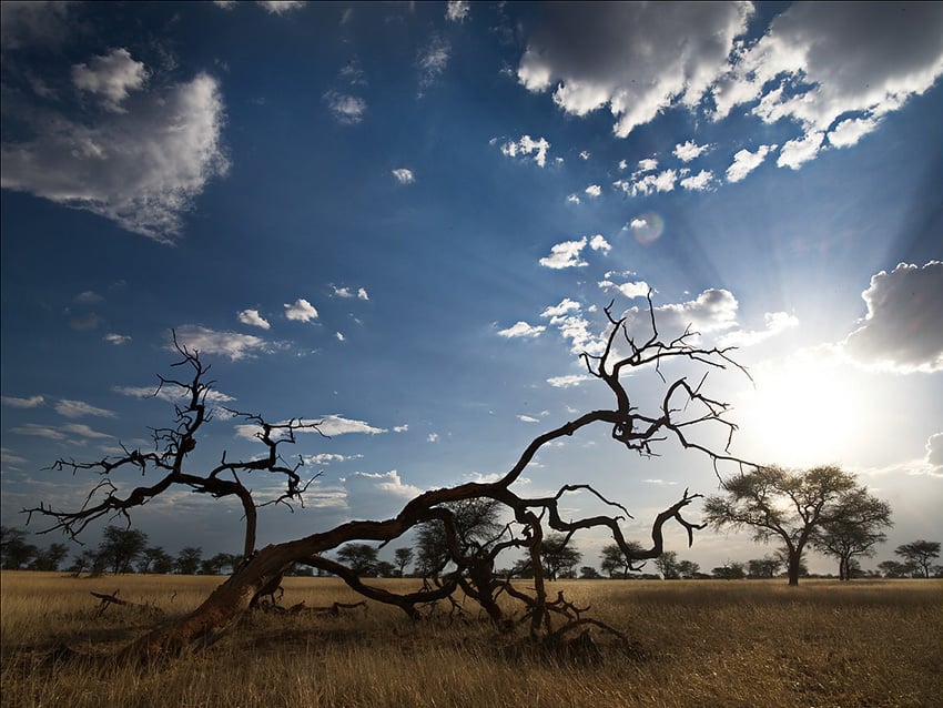 Kalahari Namibia