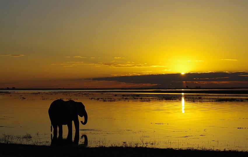 Chobe Namibia