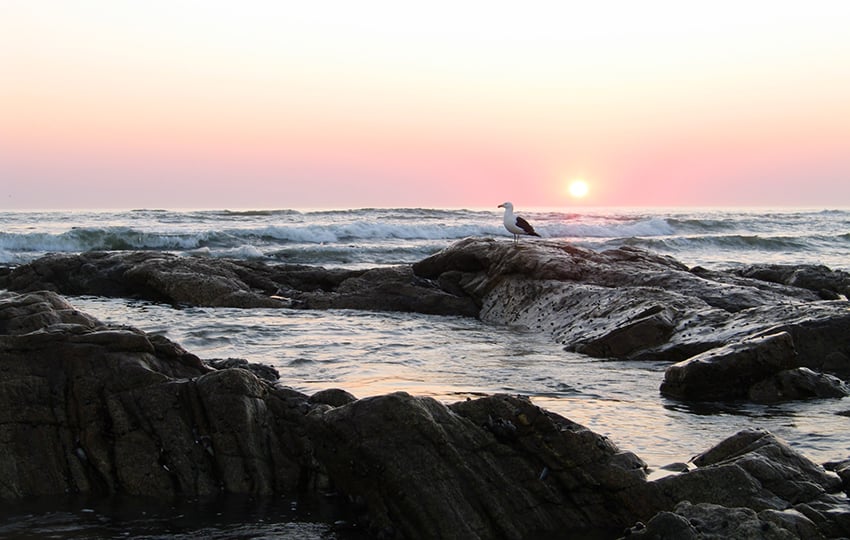 Sonnenuntergang Atlantik Namibia