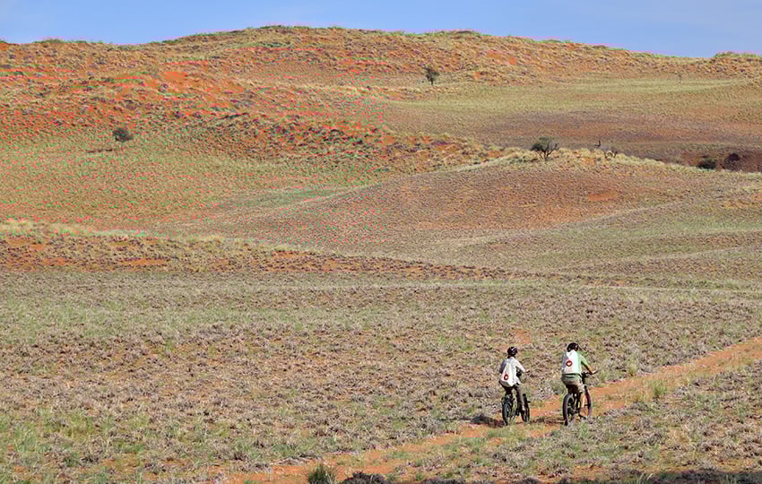 Namib-Wüste, Namibia