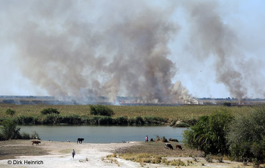 Feldbrand, Okavango